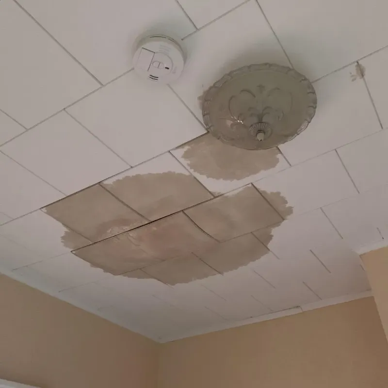 Ceiling Water Damage Repair in De Kalb, MS